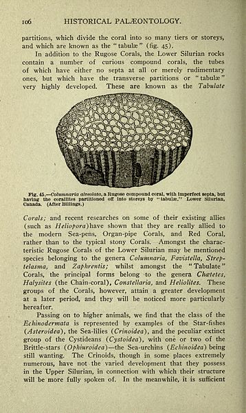 File:The ancient life-history of the earth (Page 106) BHL18084020.jpg