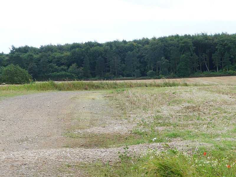 File:The northern boundary, Melton Wood Country Park - geograph.org.uk - 4118165.jpg