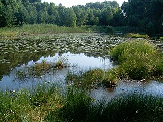 Przemęt Landscape Park