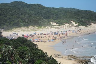 <span class="mw-page-title-main">Morgan Bay</span> Place in Eastern Cape, South Africa