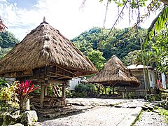 The raised bale houses of the Ifugao people with capped house posts are believed to be derived from the designs of traditional granaries[178]