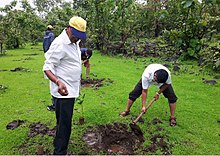 Tree Plantation Drive by Shree Aniruddha Upasana Foundation, Mumbai, India Tree Plantation Drive.jpg