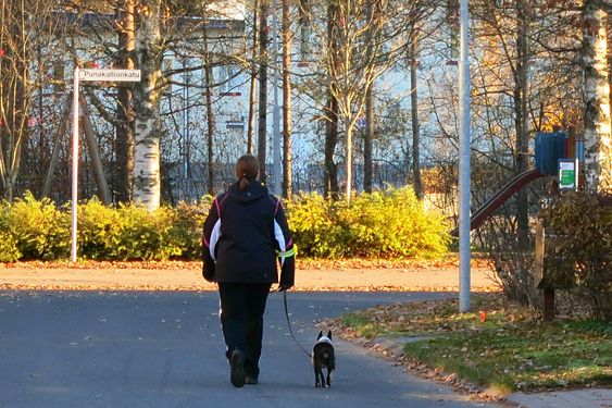 Small and big walkers