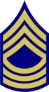 US Army 1948 MSGT Non Combat.png