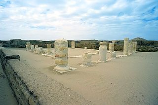 <span class="mw-page-title-main">Tebtunis</span> Archaeological site in the Egyptian depression of el-Faiyum
