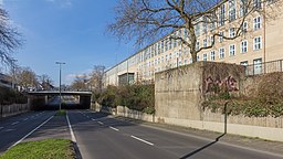 Universitätsstraße, Fahrbahnabsenkung an der Universität zu Köln-0492