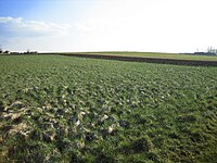 Panorama vanop de Holderbeke, gehucht Holderbeke, Sint-Martens-Lierde