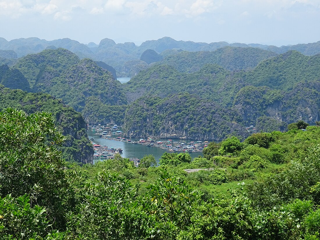 Cát Hải district