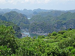 View of the Cai Beo floating village.jpg