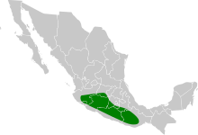 Vireo nelsoni map.svg