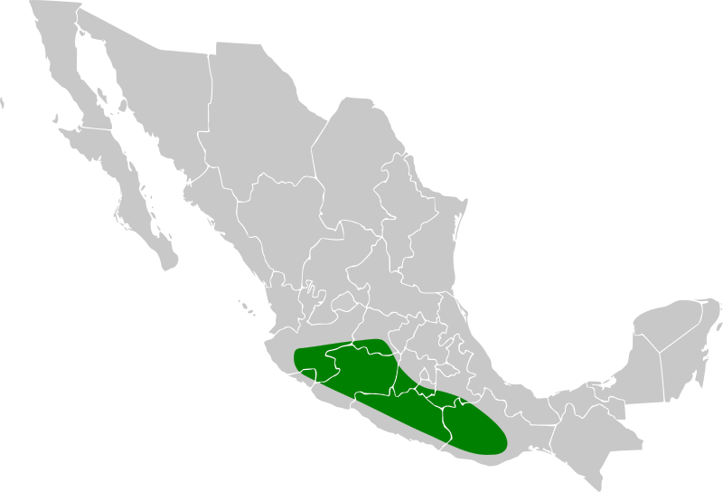 File:Vireo nelsoni map.svg
