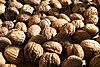 Walnuts02.jpg