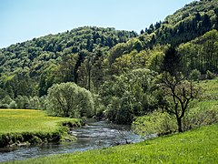 Regnitz Wiesent: Namensherkunft, Geographie, Freizeit und Erholung