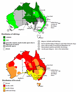 Distribution of wild dogs and livestock Wild dog distribution 2.png