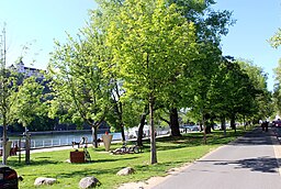 Willy-Brandt-Kai in Würzburg