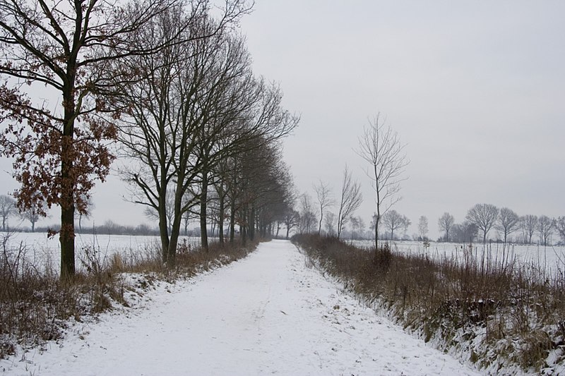 File:Winterweg.jpg