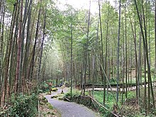 File:Xitou_Nature_Education_Area-12.2023-10-18.jpg