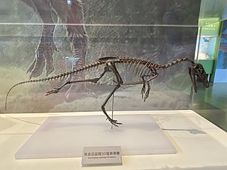 <i>Xunmenglong</i> Extinct genus of dinosaurs