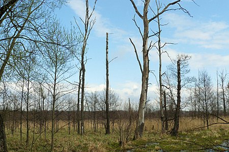 Zabor natur reservat