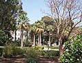 Церковь Нагорной Проповеди на Горе Блаженств (Church of Mt. of Beatitudes) - panoramio.jpg