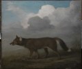 'Portrait of a Large Dog' (Dingo) RMG L6684-002.tiff