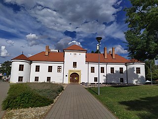 <span class="mw-page-title-main">Šaľa</span> Town in Slovakia