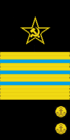 coronel general