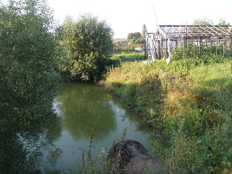 File:Пруд на участке - panoramio.jpg