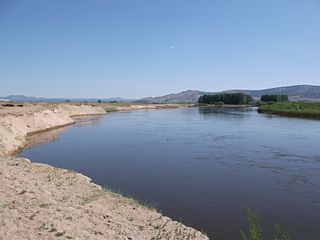 <span class="mw-page-title-main">Chikoy (river)</span> River in Mongolia and Russia