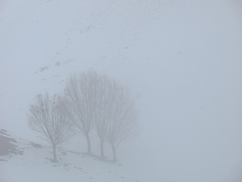 File:بارش برف در روستای جاسب قم- قله ولیجیا 32.jpg