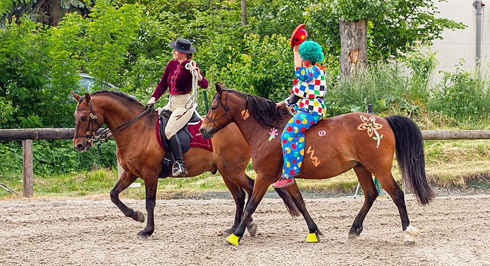 Two Horsewoman at a horses performance