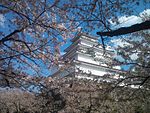 20130428 鶴ヶ城.jpg