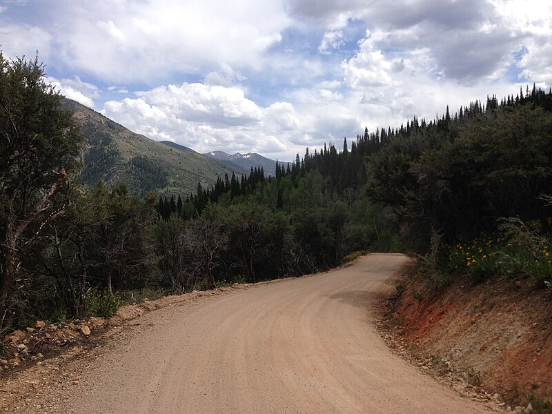 File:2014-06-24 13 52 39 View north along Elko County Route 748 (Charleston-Jarbidge Road) about 18.3 miles north of Charleston, Nevada.jpg