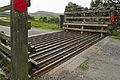 * Nomination Cattle grid in a country road in Swaledale --Kreuzschnabel 17:52, 23 October 2014 (UTC) * Promotion Good quality -- Spurzem 21:28, 23 October 2014 (UTC)