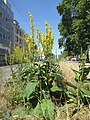 Saarbrücken, Juni 2018