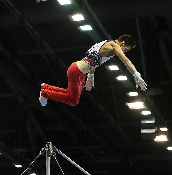 File:2019-06-30 1st FIG Artistic Gymnastics JWCH Men's Apparatus finals Horizontal bar (Martin Rulsch) 066.jpg