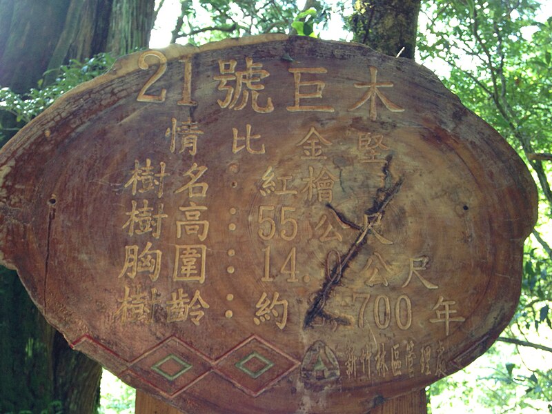 File:336, Taiwan, 桃園市復興區華陵里 - panoramio (67).jpg