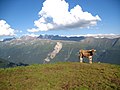 Deutsch: Schauen vom Fiescheralp, Schweiz English: View from Fiescheralp, Switzerland Camera location 46° 25′ 40.9″ N, 8° 06′ 53.7″ E  View all coordinates using: OpenStreetMap