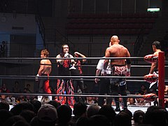 ALLES JAPAN プロレス LIEBE in Taiwan.jpg