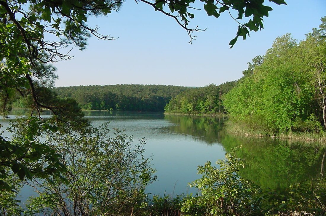 Forêt nationale d'Ouachita