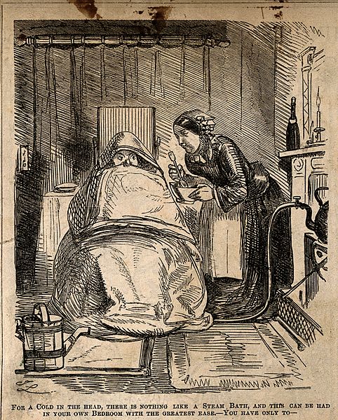 File:A man ill with a cold, wrapped in blankets as his servant at Wellcome V0011173.jpg