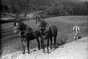 A ploughman and his horses NLW3363796.jpg