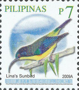 Lina's sunbird