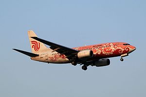 Air China Boeing 737-79L (Red Peony Livery) B-5211 (8688265791).jpg