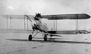 Albatros C.XIV.jpg