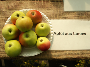 Lunower Äpfel