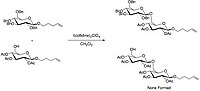 Thumbnail for Armed and disarmed saccharides