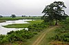 Flooded grasslands in the Kaziranga National Park