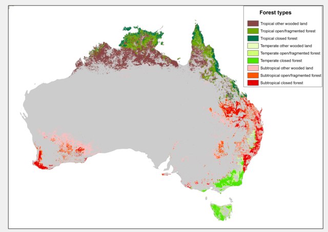 NSW Rainforest environments