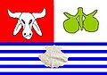 Bandeira de Conde